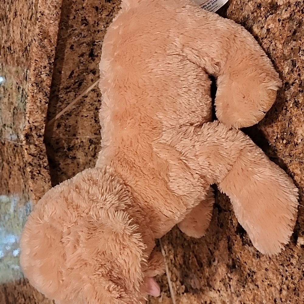 Build-A-Bear Yellow Lab - Picture 2 of 6